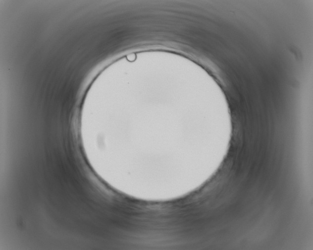 X0000113101516200910091129