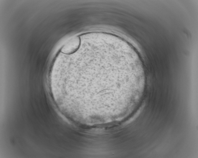 X0000113101517200910091129