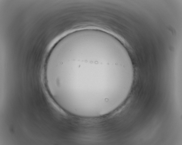 X0000113101518200910091129
