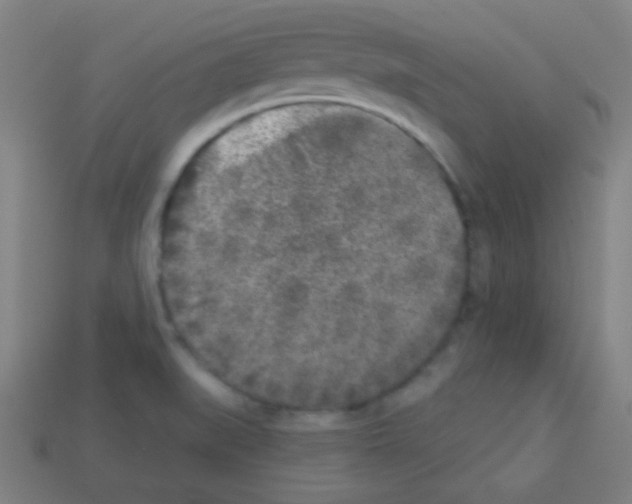 X0000113101519200910091129