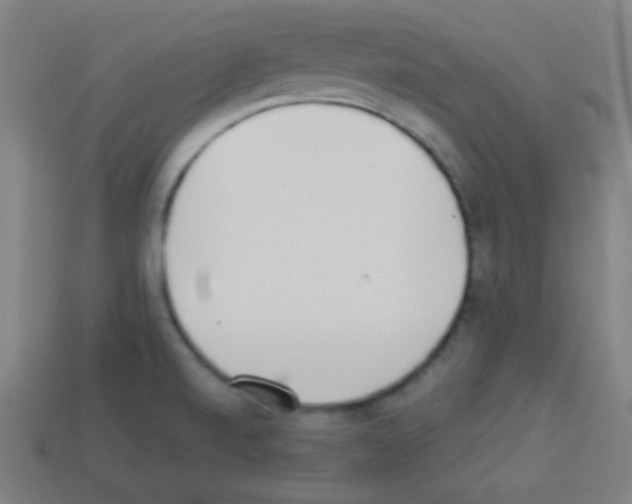 X0000113101520200910091129