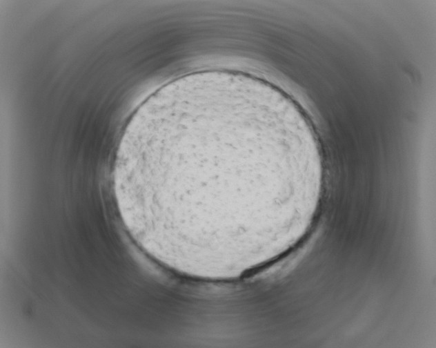X0000113101521200910091129