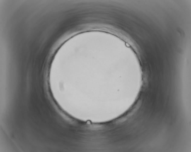 X0000113101525200910091129