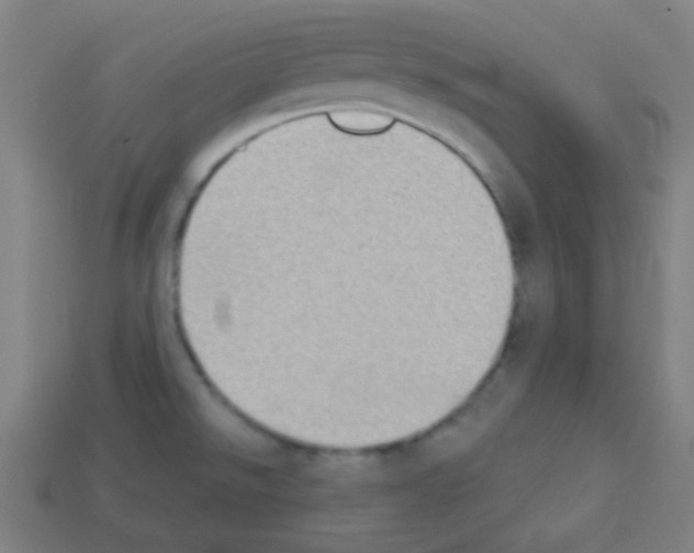 X0000113101526200910091129