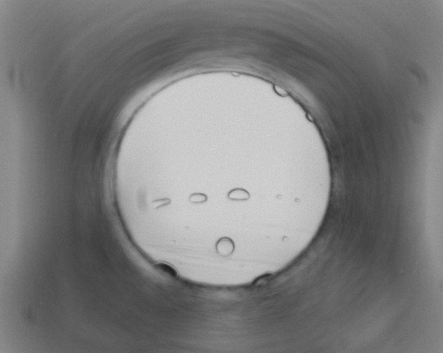 X0000113101528200910091129