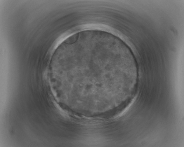 X0000113101529200910091129
