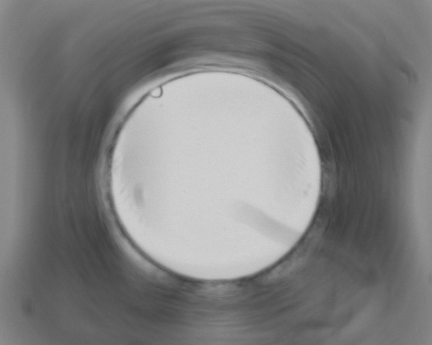 X0000113101531200910091129