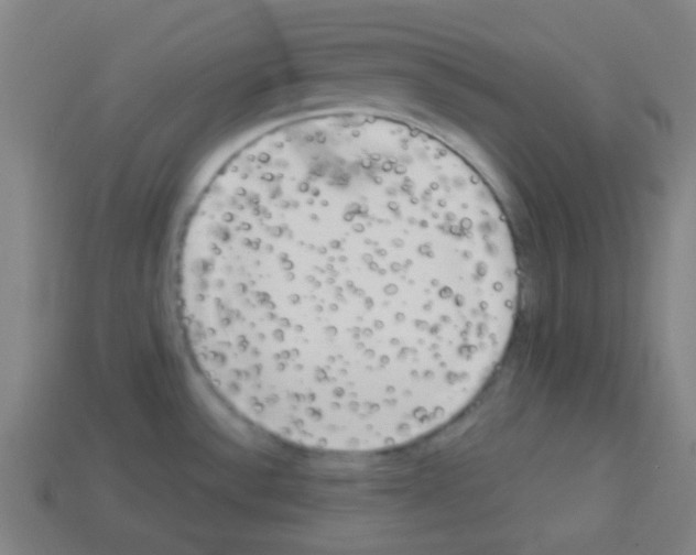 X0000113101532200910091129