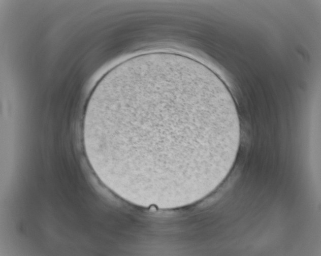 X0000113101534200910091129