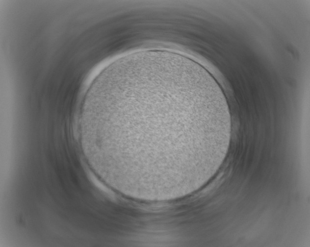 X0000113101535200910091129