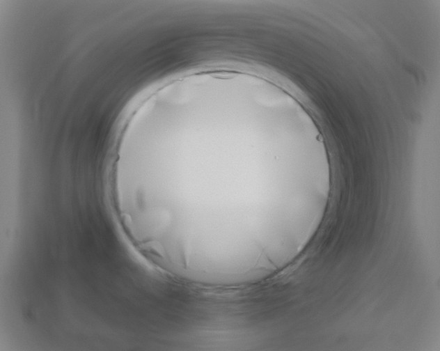 X0000113101536200910091129
