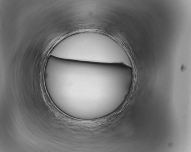 X0000113110001200908281028