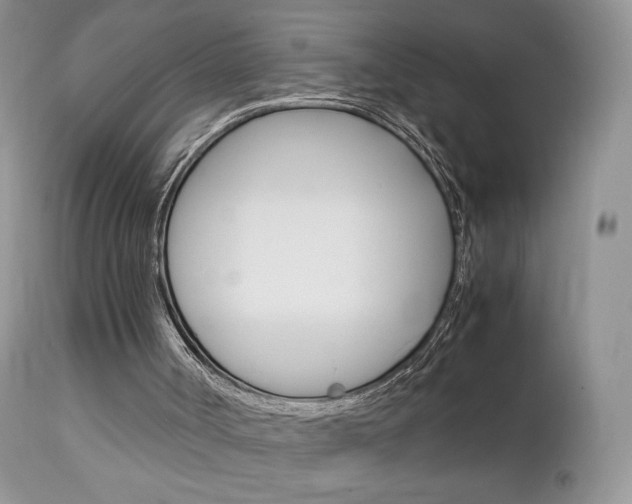 X0000113110002200908281028