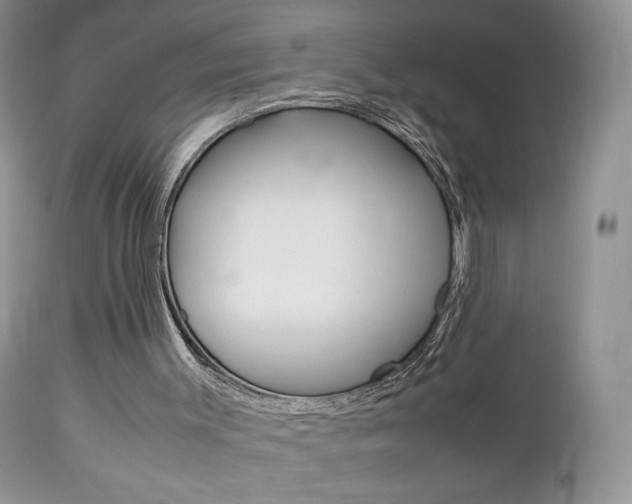 X0000113110003200908281028