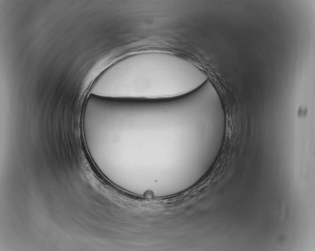 X0000113110004200908281028