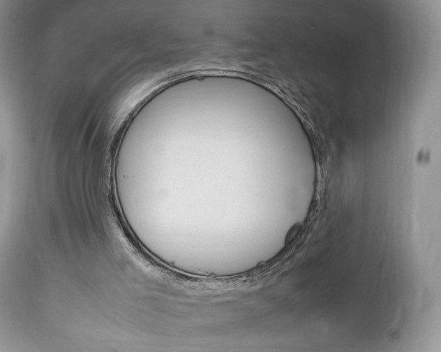 X0000113110005200908281028