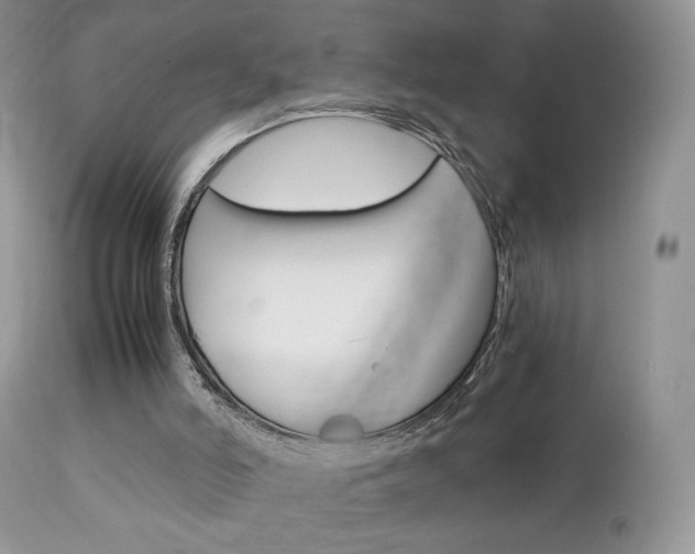 X0000113110006200908281028