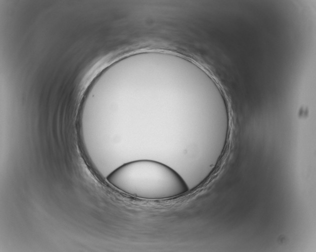 X0000113110007200908281028