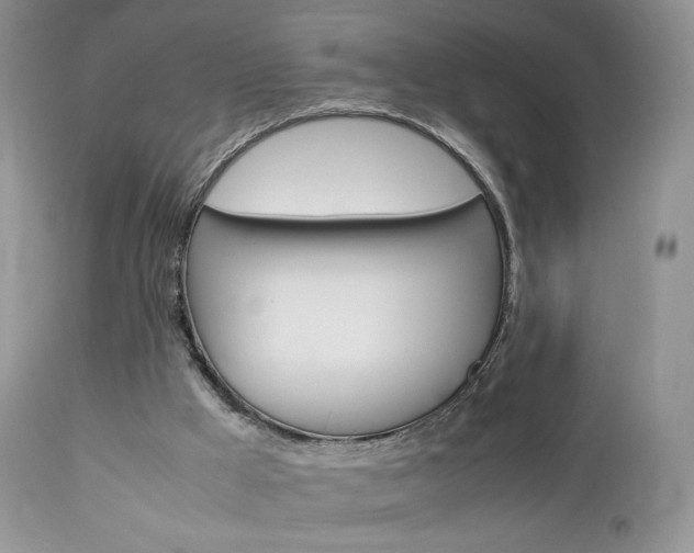 X0000113110009200908281028