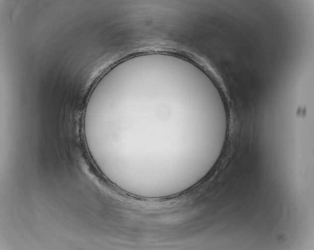 X0000113110010200908281028