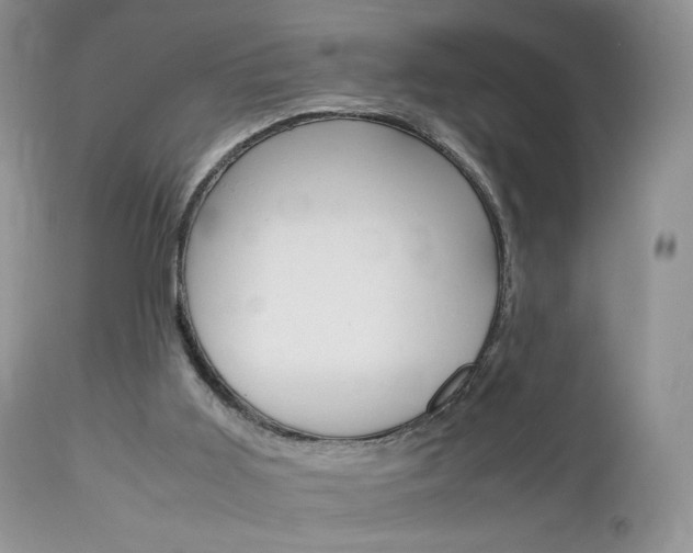 X0000113110011200908281028