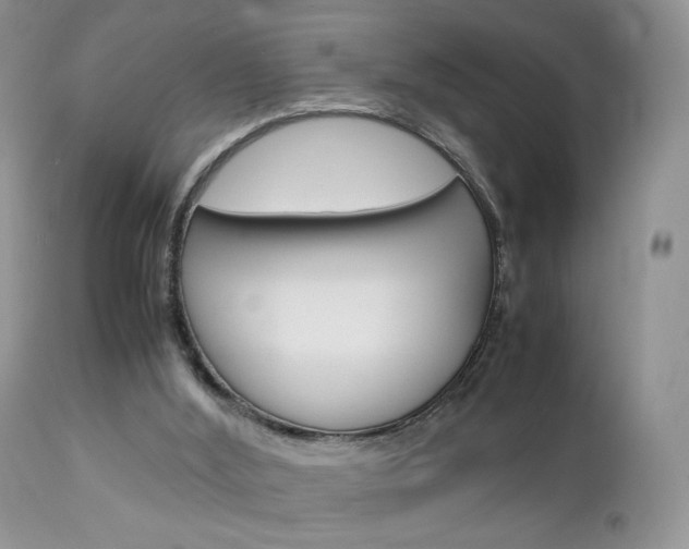 X0000113110012200908281028