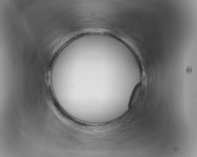X0000113110013200908281028