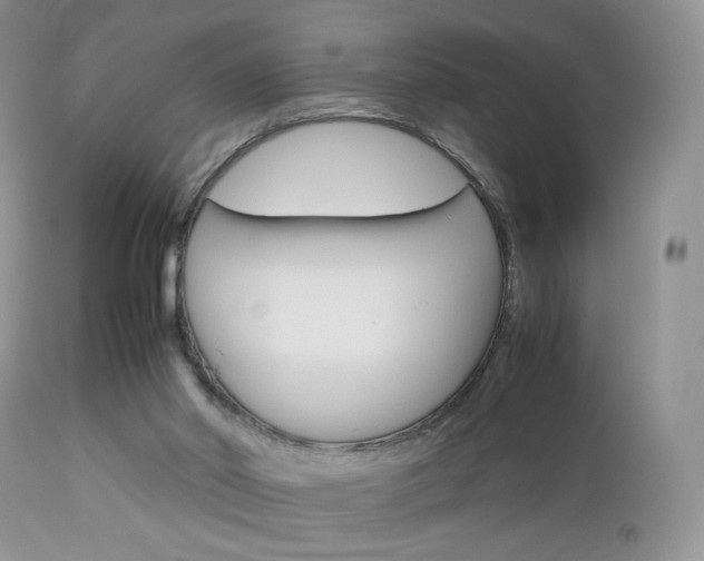 X0000113110014200908281028