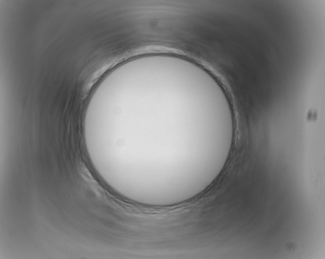 X0000113110015200908281028