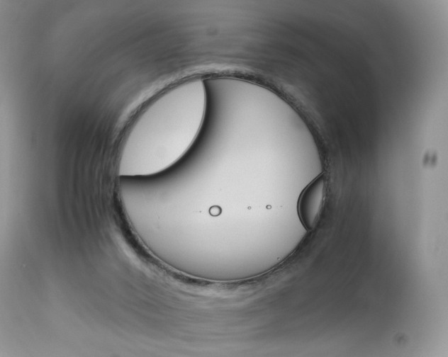 X0000113110016200908281028