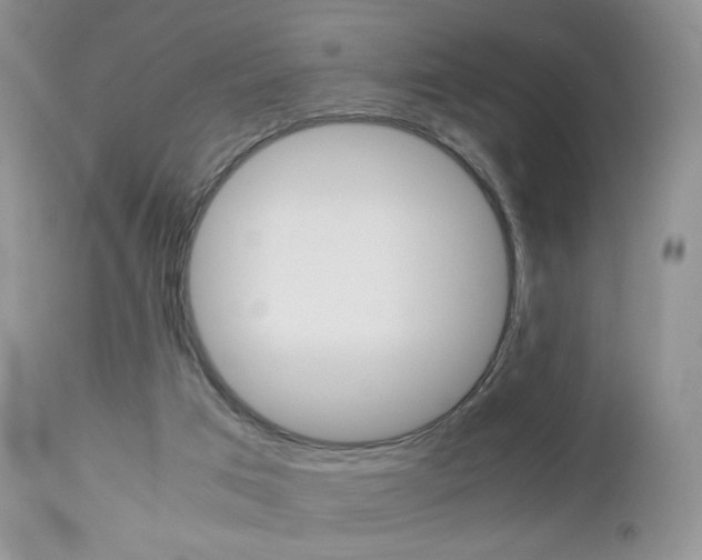 X0000113110017200908281028