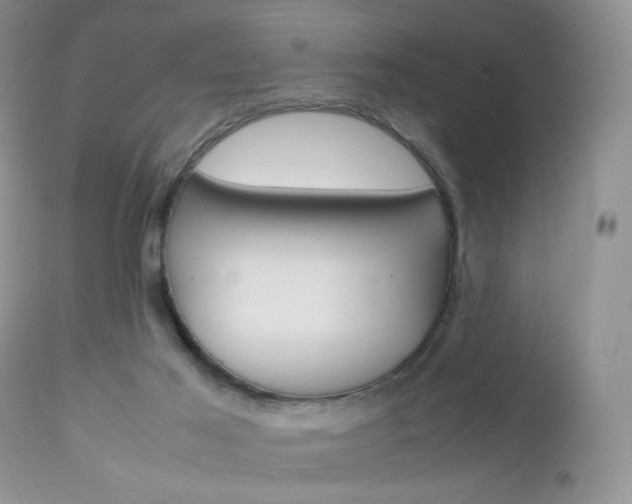 X0000113110021200908281028