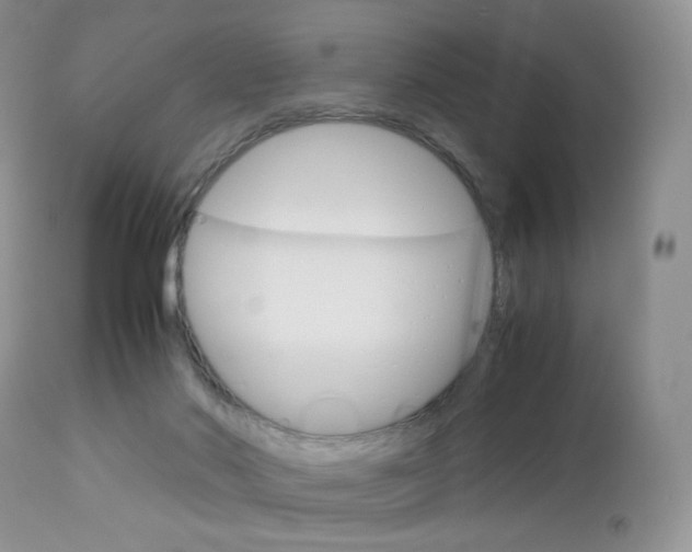 X0000113110022200908281028
