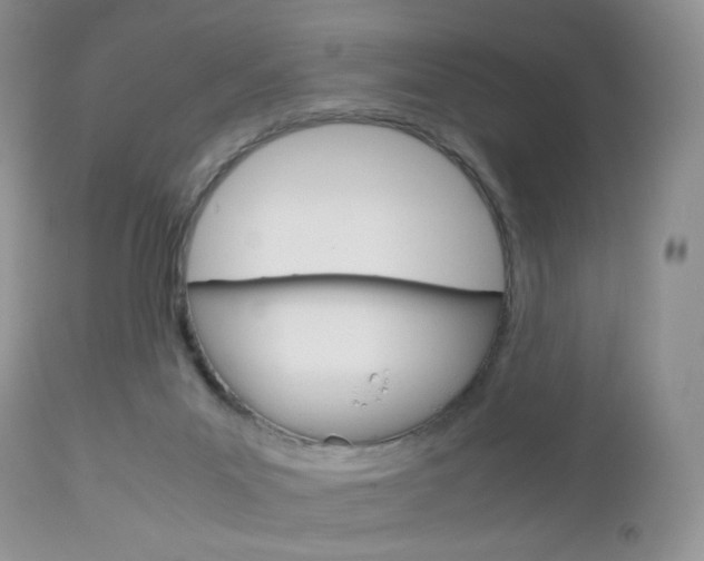 X0000113110023200908281028