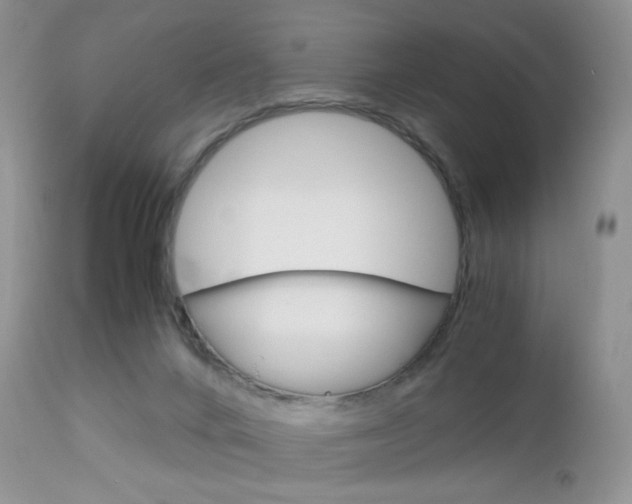 X0000113110024200908281028