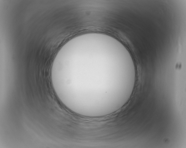 X0000113110025200908281028
