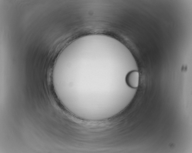 X0000113110026200908281028