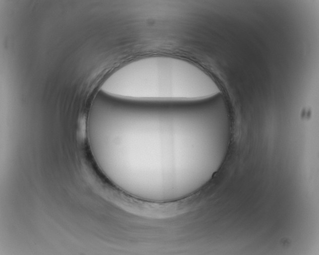 X0000113110027200908281028