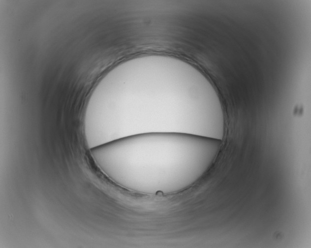 X0000113110028200908281028