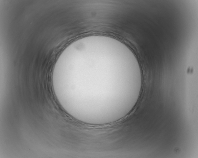 X0000113110029200908281028