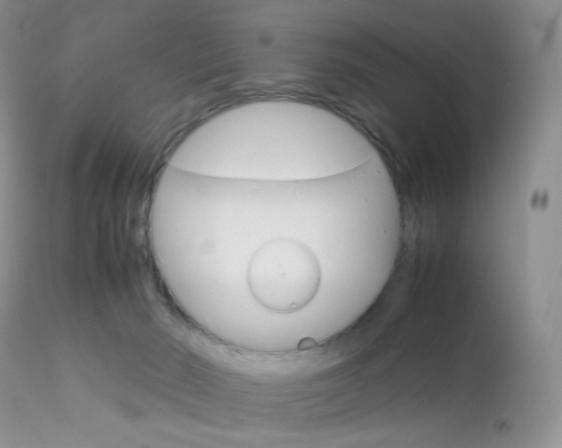X0000113110030200908281028