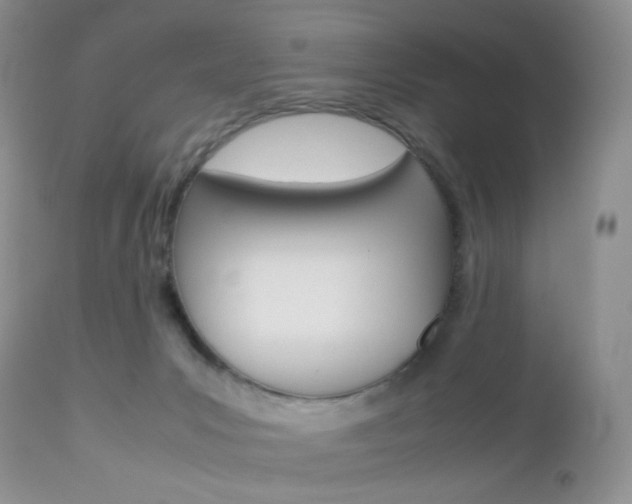 X0000113110031200908281028