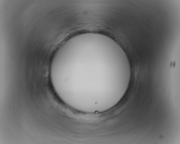 X0000113110032200908281028