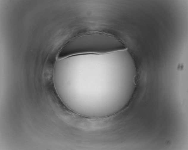 X0000113110033200908281028