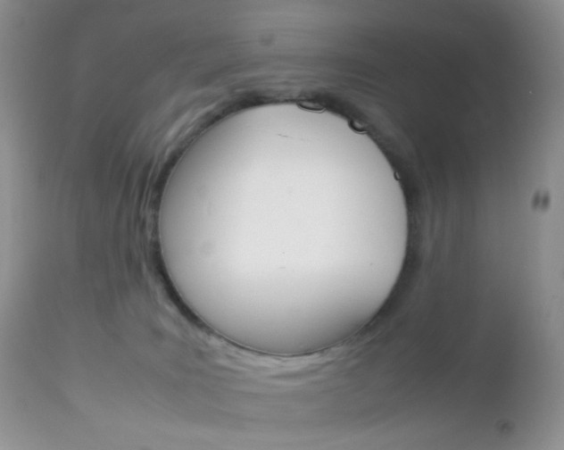 X0000113110035200908281028