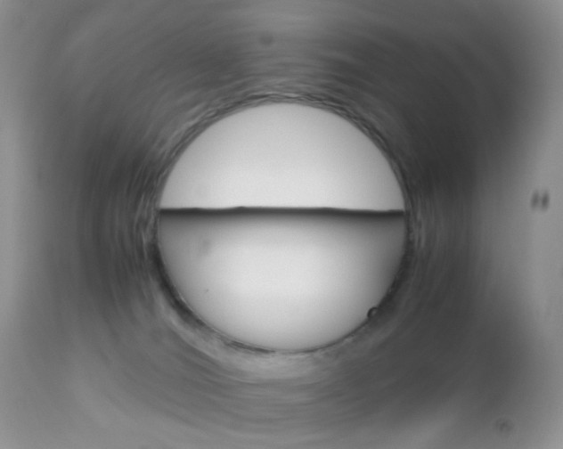 X0000113110036200908281028
