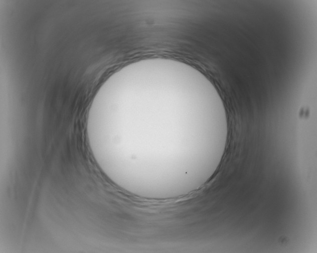 X0000113110037200908281028