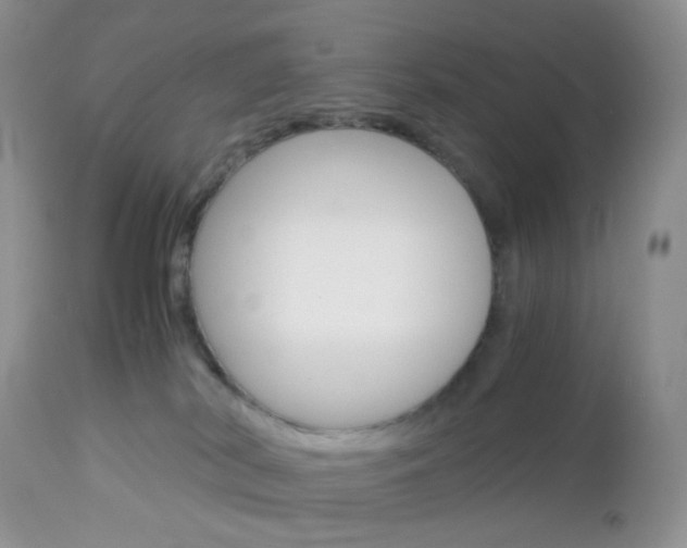 X0000113110038200908281028