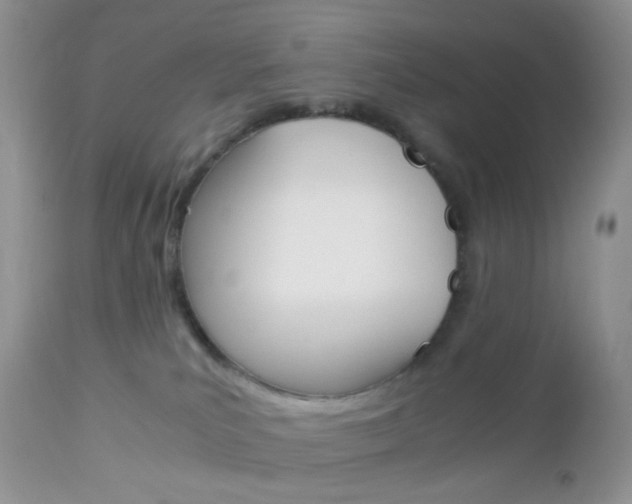 X0000113110039200908281028