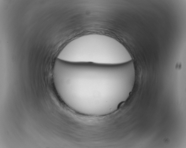 X0000113110040200908281028